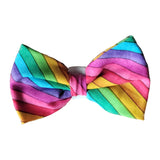 Rainbow Stripes Pet Bowtie