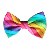 Rainbow Stripes Pet Bowtie