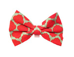 Coral and Green Arabesque Pet Bow